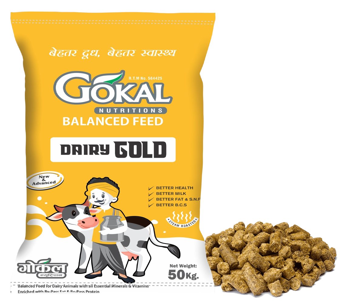 Gokal Cattle Feed - Dairy Gold
