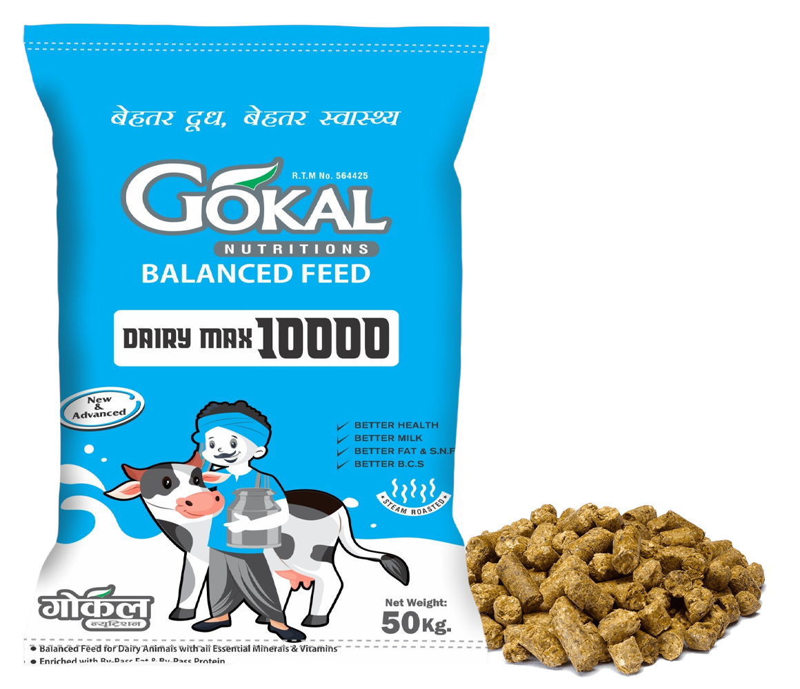 Gokal Cattle Feed - Gokal Gold