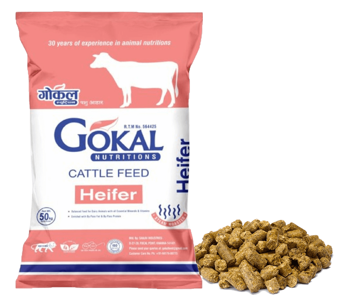 Gokal Cattle Feed - Gokal Heifer